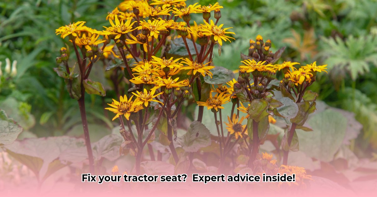 tractor-seat-plant-problems